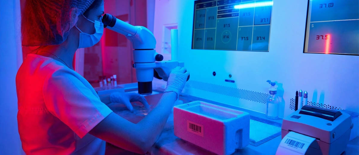 Mastering the Cold Chain: Why Zebra Supplies Outperform in Sub-Zero Temps